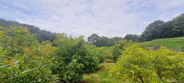 Terreno 1 manzana en venta en Santiago Sacatepequez - Miniatura 20