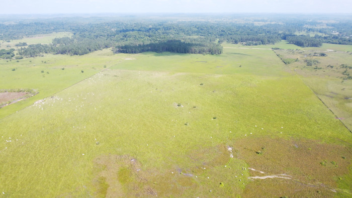 Finca de 4,876 manzanas en Venta en Petén - Miniatura 5
