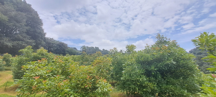 Terreno 1 manzana en venta en Santiago Sacatepequez - Miniatura 19
