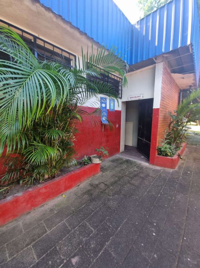 Image 4