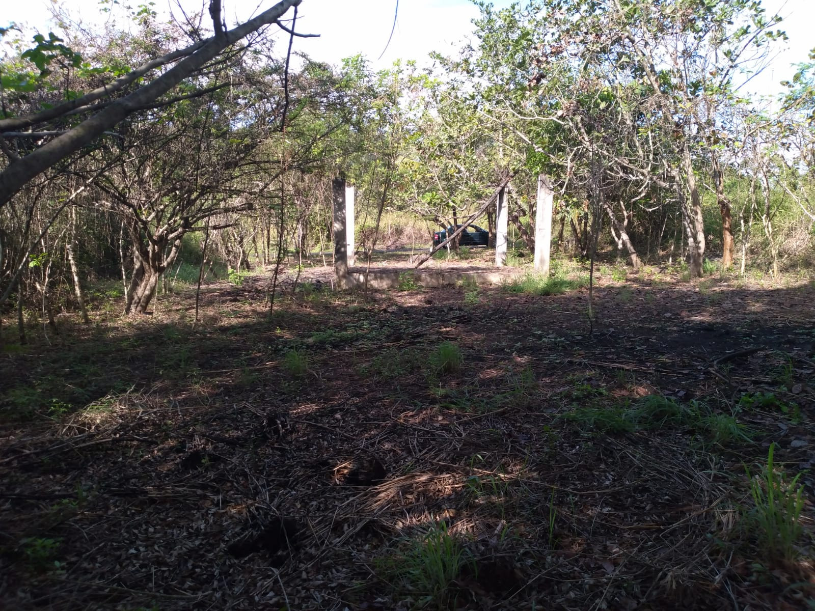 Image 4