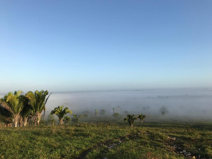 Finca de 4,876 manzanas en Venta en Petén - Miniatura 9