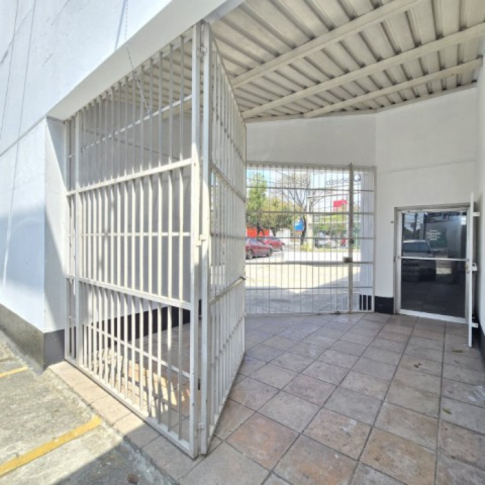 Image 4