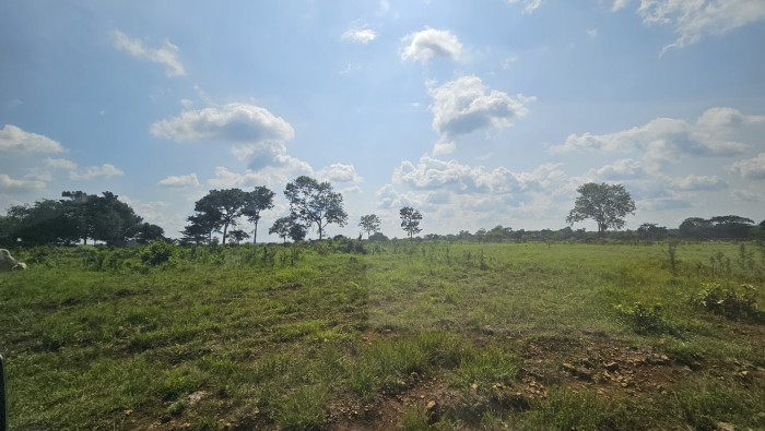 Finca de 4,876 manzanas en Venta en Petén - Miniatura 25