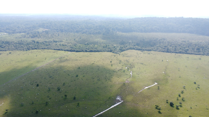 Finca de 4,876 manzanas en Venta en Petén - Miniatura 7