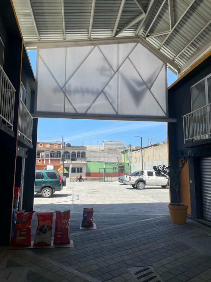 Image 4
