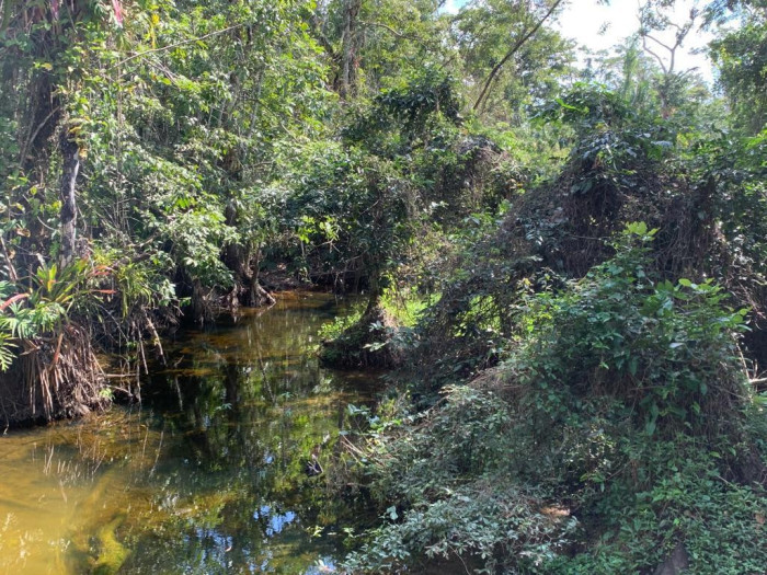 Finca de 4,876 manzanas en Venta en Petén - Miniatura 14