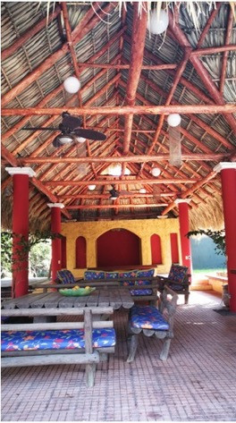 Image 4
