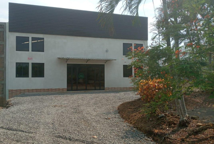 Image 4
