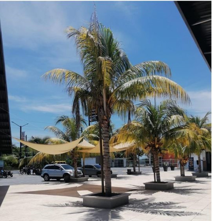 Alquilo Local comercial en  Iztapa, Puerto de San José - Miniatura 5