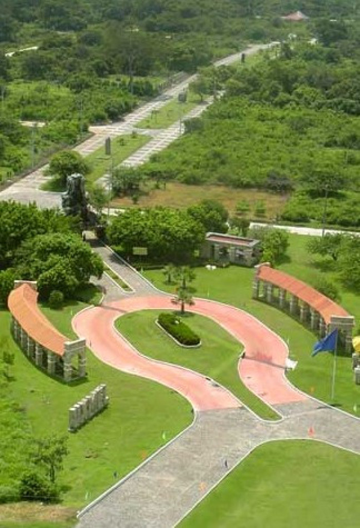 Image 4