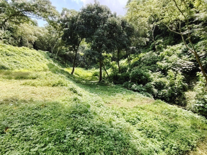 Image 4