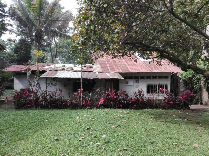 Finca en venta 8.5 manzanas Mazatenango Suchitepéquez - Miniatura 2