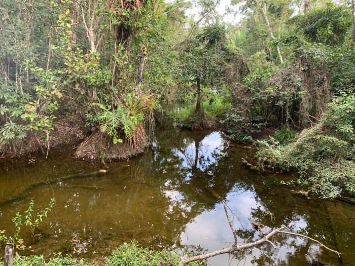 Finca de 4,876 manzanas en Venta en Petén - Miniatura 8