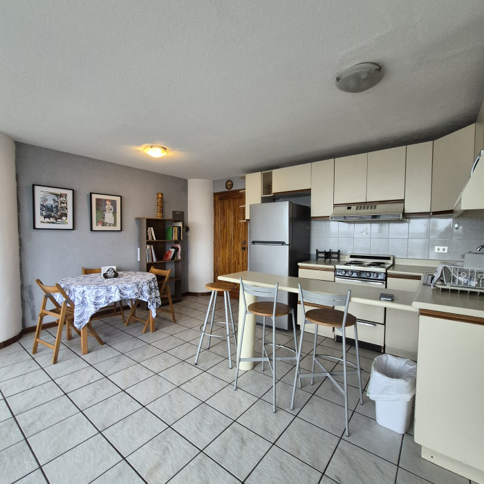 Renta apartamento amplio de 1 habitación en zona 15 VH2 - Miniatura 6