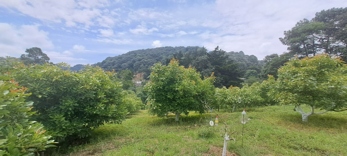 Terreno 1 manzana en venta en Santiago Sacatepequez - Miniatura 18