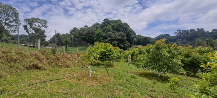 Terreno 1 manzana en venta en Santiago Sacatepequez - Miniatura 7
