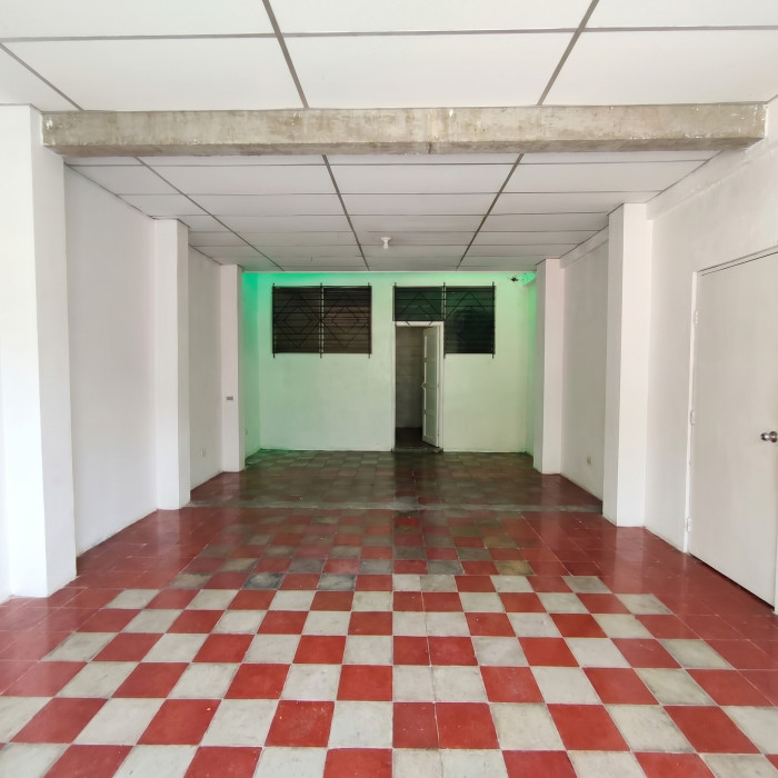 Image 4