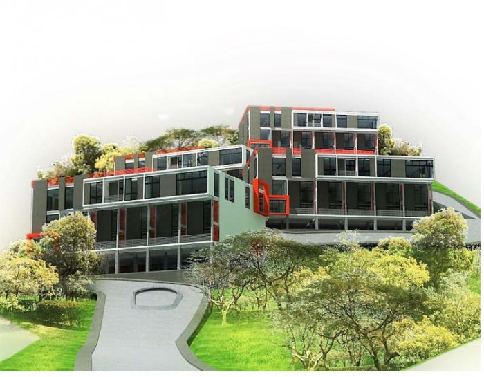 Image 4