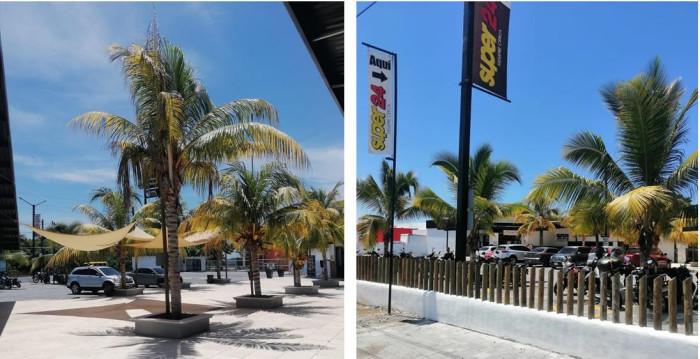 Alquilo Local comercial en  Iztapa - Miniatura 5