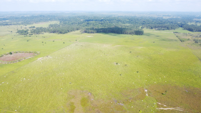 Finca de 4,876 manzanas en Venta en Petén - Miniatura 20