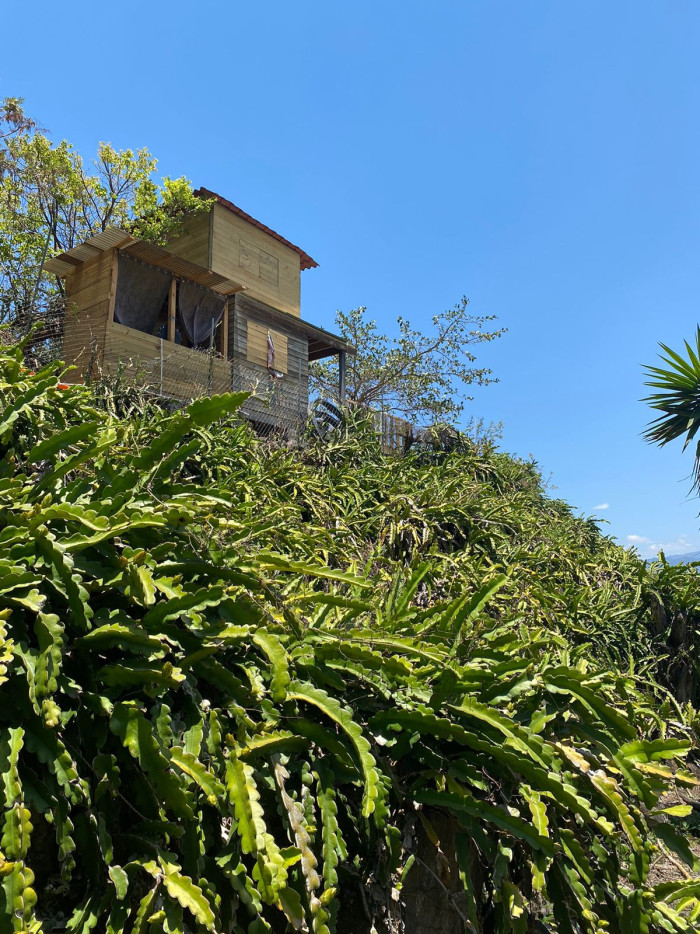 Image 4