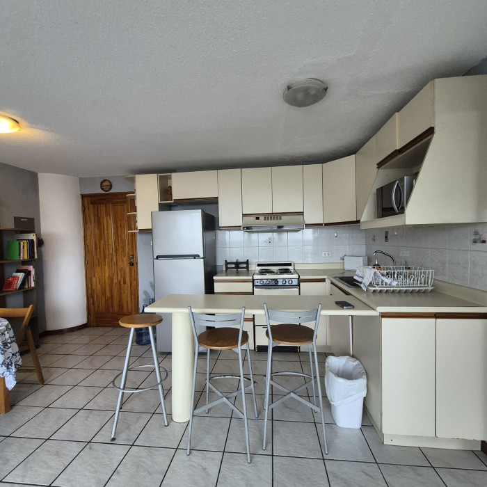 Renta apartamento amplio de 1 habitación en zona 15 VH2 - Image 5
