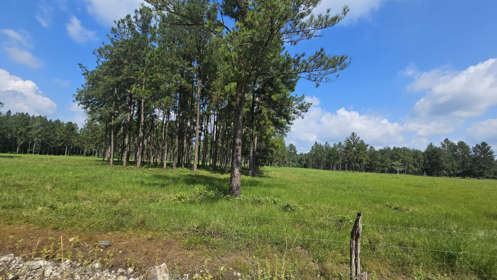 Finca de 4,876 manzanas en Venta en Petén - Miniatura 17