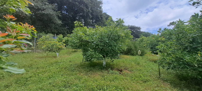 Terreno 1 manzana en venta en Santiago Sacatepequez - Miniatura 21