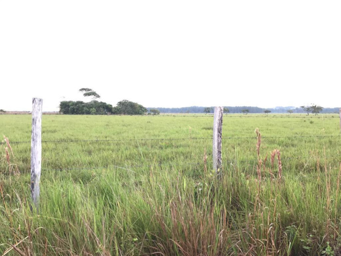 Finca de 4,876 manzanas en Venta en Petén - Miniatura 7