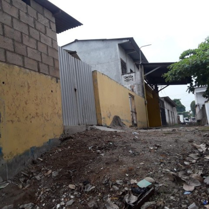 Image 4