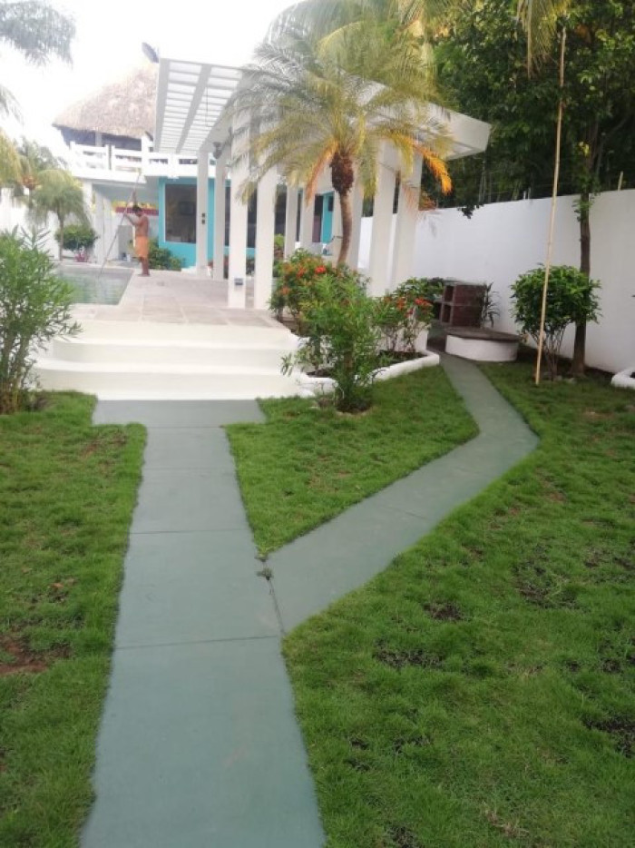 Image 4