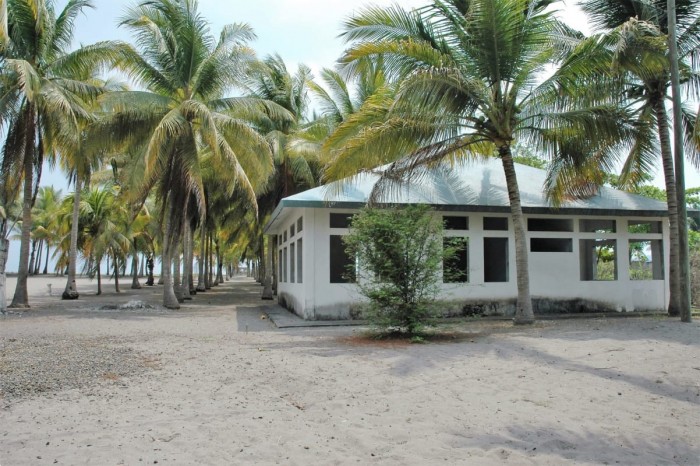Image 4