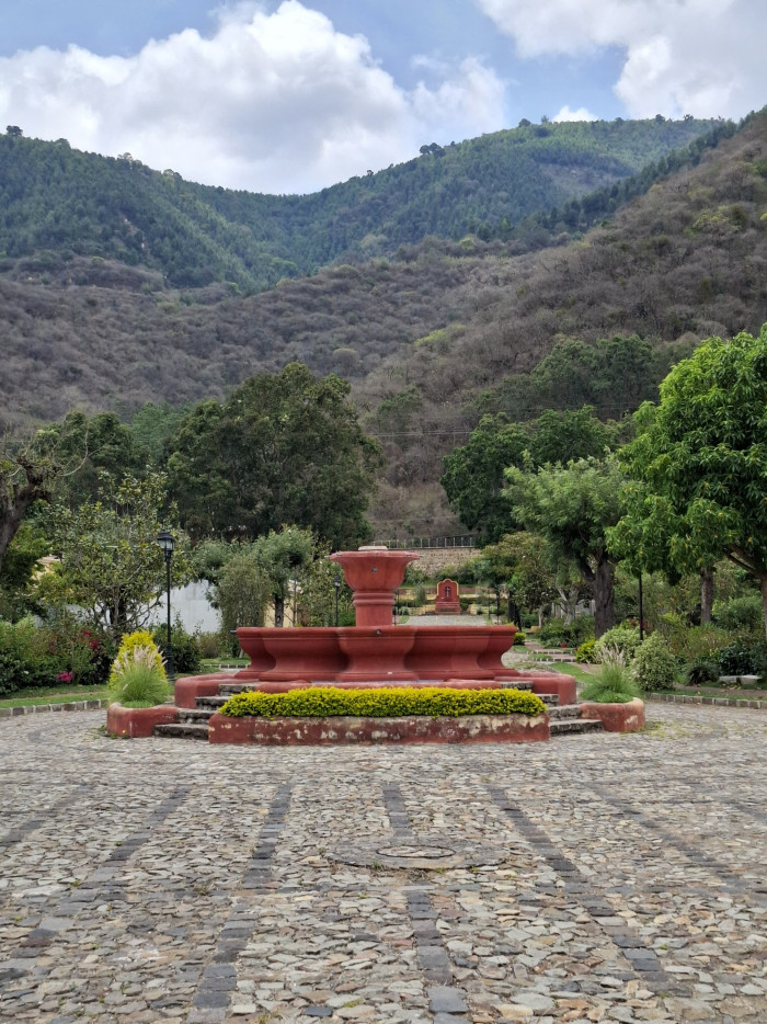 Image 4