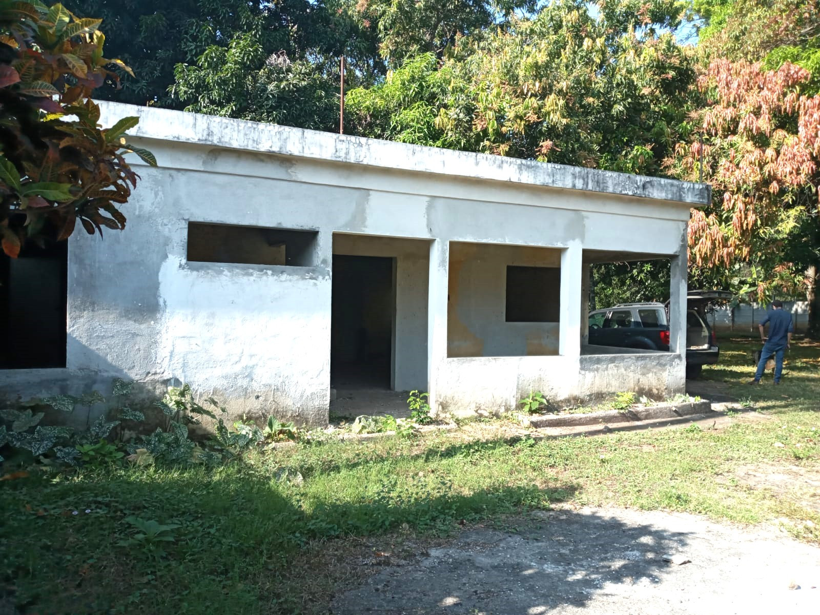 Image 4